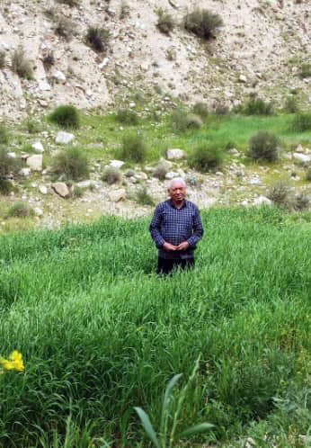 عکس یادبود ۵